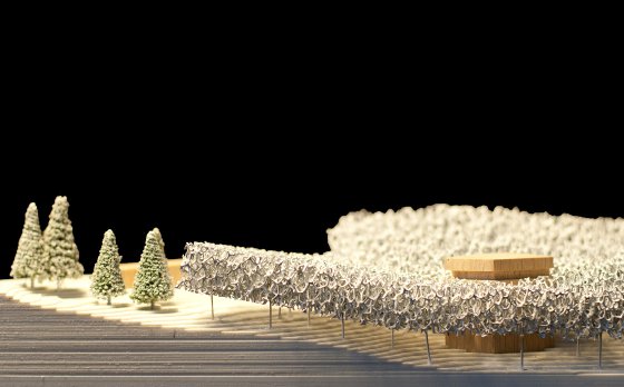 Nationalpark Schwarzwald