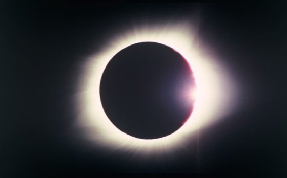 Tacita Dean Antigone